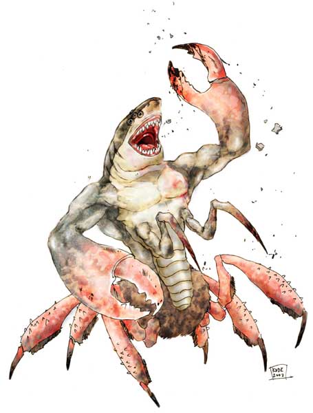 shark crab.jpg (28 KB)